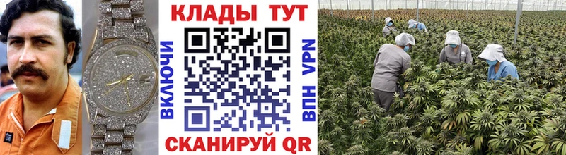 Где можно купить наркотики Кодинск ГАШИШ  Кокаин  Метадон  Мефедрон  Амфетамин 
