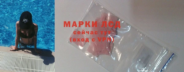 сатива Осинники