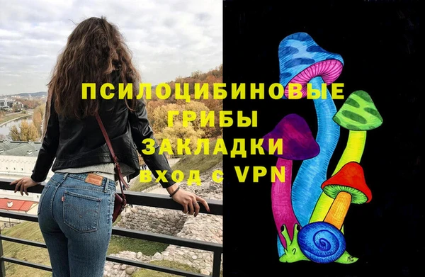 сатива Осинники