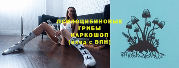 дживик Пестово