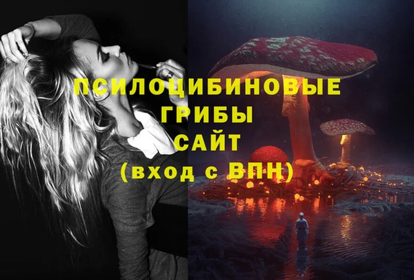 каннабис Дубна