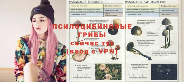 мяу мяу кристалл Осташков