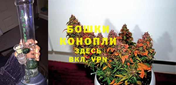 дживик Пестово
