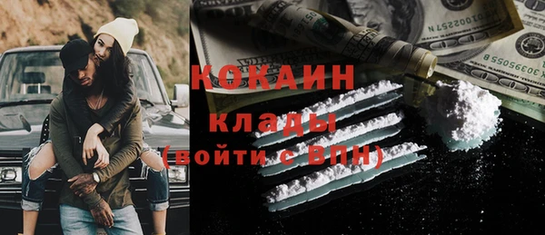 сатива Осинники